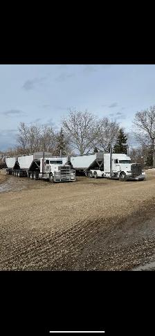 Grain hauler wanted