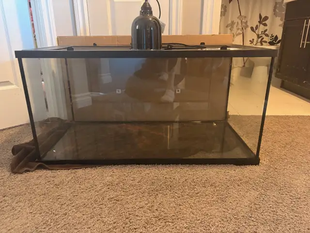 40 Gallon Terrarium Reptile Tank & Heat Lamp