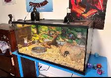 40 Gallon Terrarium Reptile Tank & Heat Lamp - Photo 3