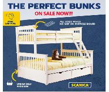 Toronto Solid Wood Bunk Beds for Adults & Kids | White & Grey