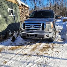 2009 Ford F150 - Photo 2