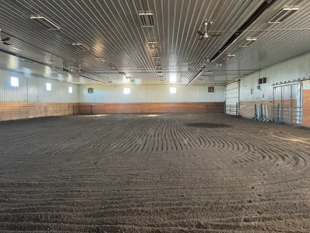 Horse Boarding - Photo 2