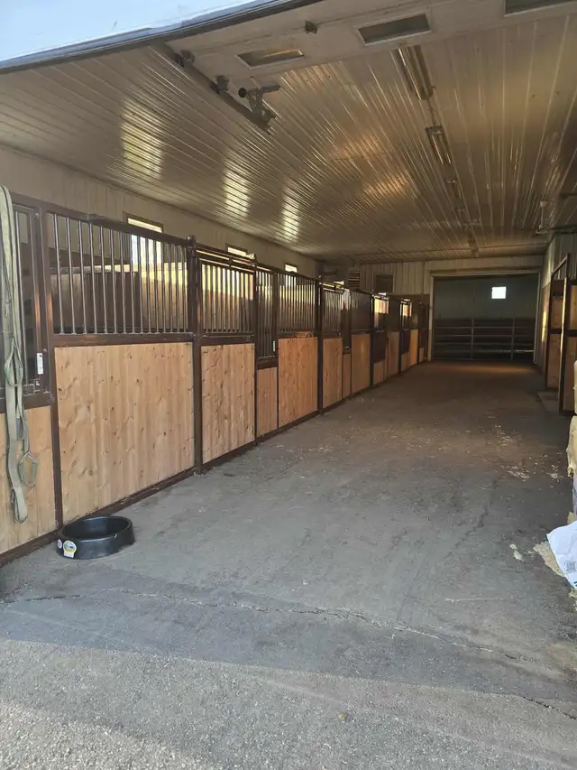 Horse Boarding - Photo 5