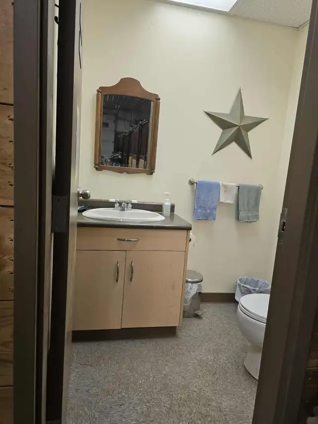 Horse Boarding - Photo 6