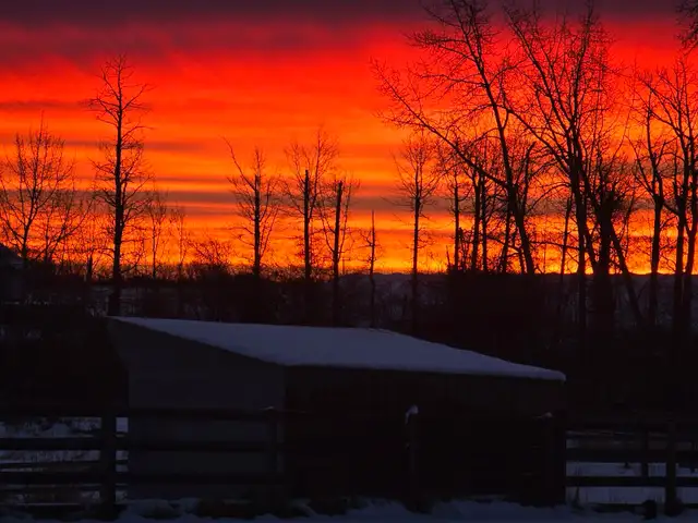 Horse Boarding - Photo 8