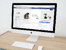 Digital Marketing Expert - Website Creation