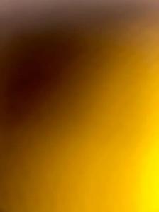 construction helper (not hiring )