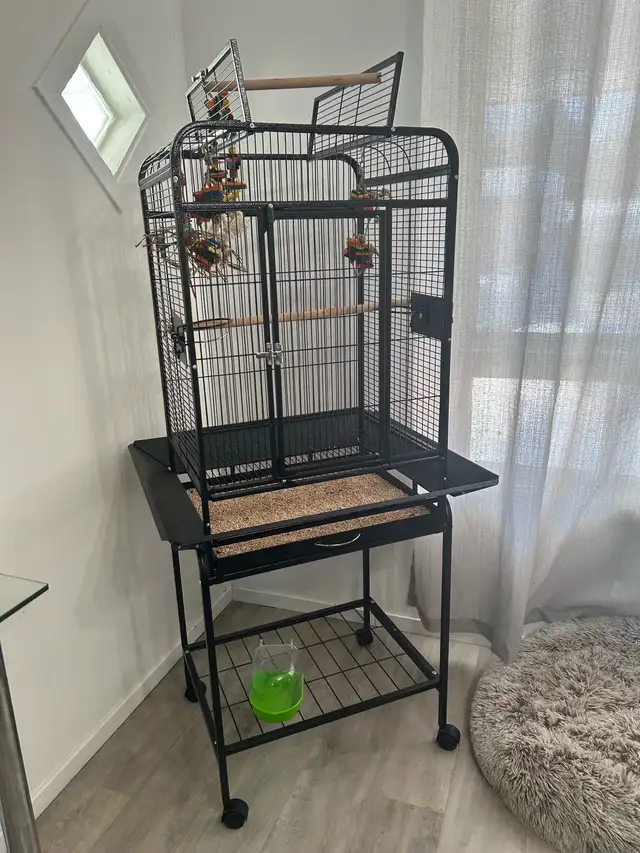 cage perroquet oiseau