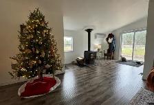 40.5 Acre Hobby Farm, Beautifully Renovated - Photo 5