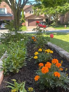 Room for rent Oakville near Sheridan college