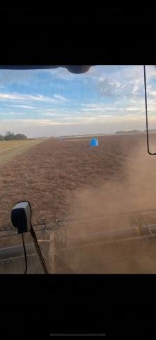 Alfalfa, Clovers, Grasses, Forage seed, Hay mixes - Photo 3