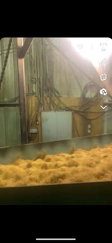 Alfalfa, Clovers, Grass seed, hay mixes - Photo 7