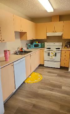 Roommate Wanted – Sherwood Park, AB