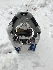 Snow Shoes for Sale - Photo 5