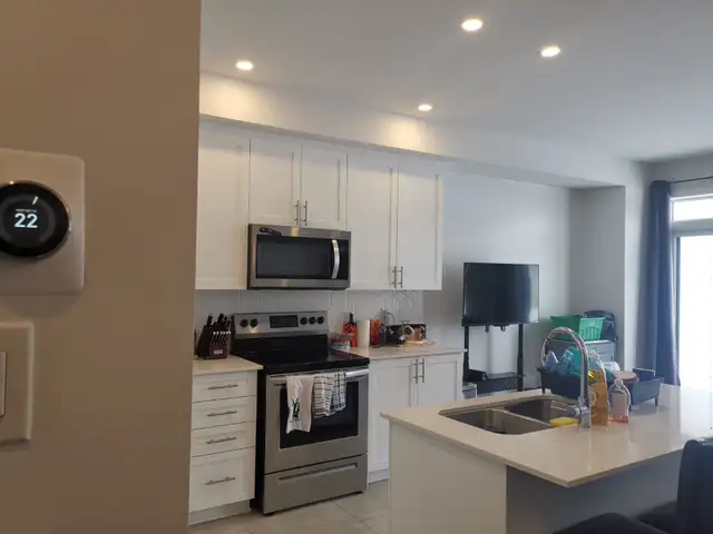 Riverside South Brand New Townhouse for rent - Photo 2