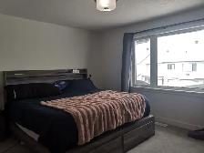 Riverside South Brand New Townhouse for rent - Photo 5