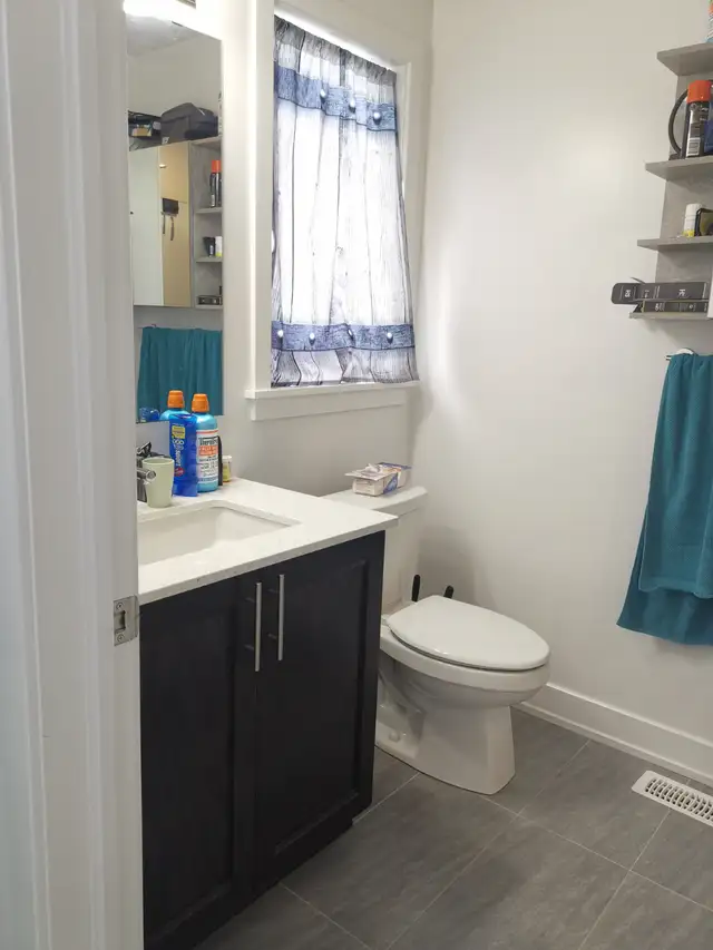 Riverside South Brand New Townhouse for rent - Photo 8