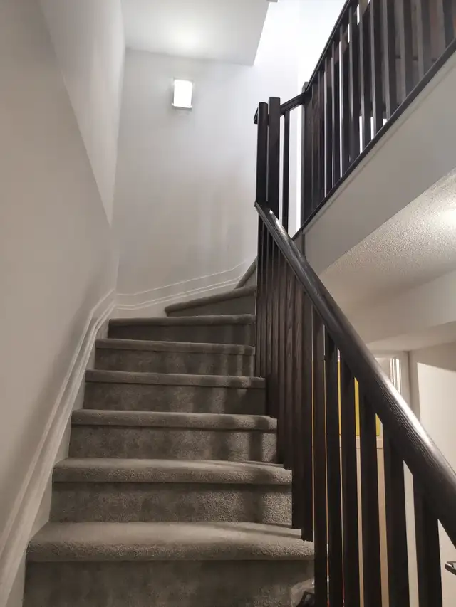 Riverside South Brand New Townhouse for rent - Photo 9