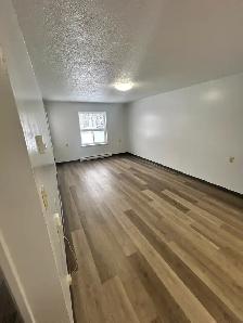 2 Bed, 1 Bath Apartment - Photo 5