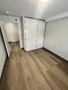 2 Bed, 1 Bath Apartment - Photo 7