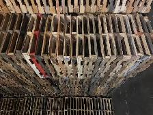 trailer load 48x40 pallet skid wanted, good pay 905-670-9049