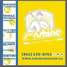 Window Cleaning Services