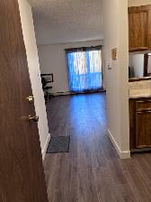Wildwood area 2 bed   den. Perfect for students! - Photo 5