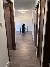 Wildwood area 2 bed   den. Perfect for students! - Photo 10