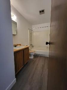 Wildwood area 2 bed   den. Perfect for students! - Photo 11