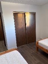 Wildwood area 2 bed   den. Perfect for students! - Photo 17