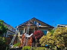 Hiring Summer Painter - Photo 4