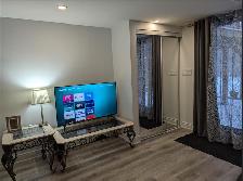 Furnished Private Apartment in North York-All included