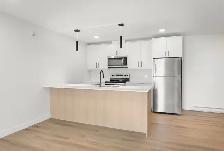 Beautiful 1 Bed & 2 Bed Apartments Available for Rent!