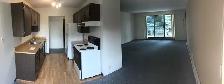1 BEDROOM APARTMENT - PET FRIENDLY - Photo 2