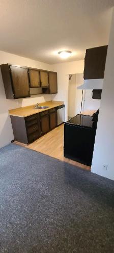 1 BEDROOM APARTMENT - PET FRIENDLY - Photo 3