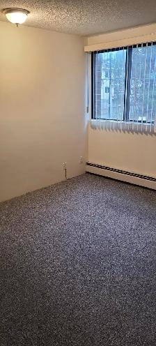 1 BEDROOM APARTMENT - PET FRIENDLY - Photo 10