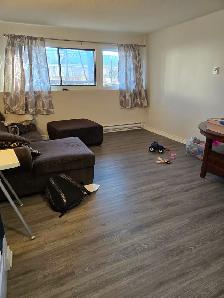 ✨ COZY • QUIET • PET-FRIENDLY ✨ - Photo 2