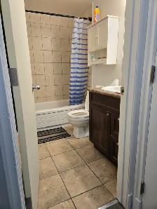 ✨ COZY • QUIET • PET-FRIENDLY ✨ - Photo 3