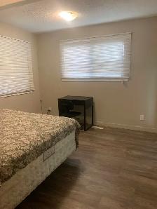 Room with private washroom for rent