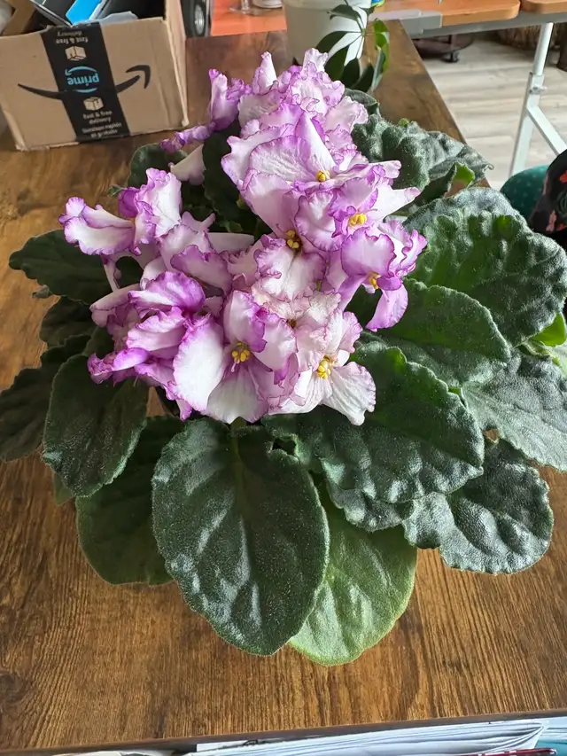 part-time evening support person