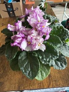 part-time evening support person