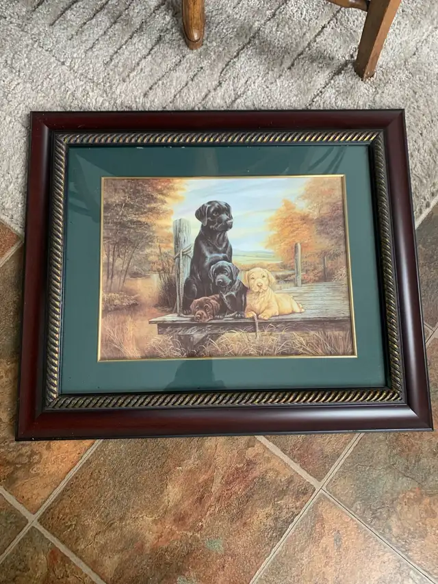 beautiful lab dog picture