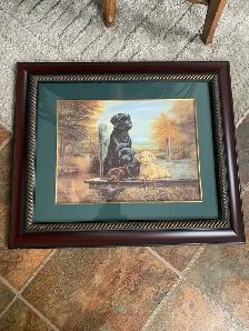 beautiful lab dog picture