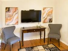 Fully Furnished One Bedroom Apartment - Photo 2