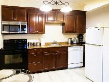 Fully Furnished One Bedroom Apartment - Photo 6