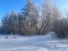 Enjoy private time In nature with your loved one - Photo 2