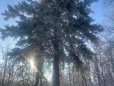 Enjoy private time In nature with your loved one - Photo 3