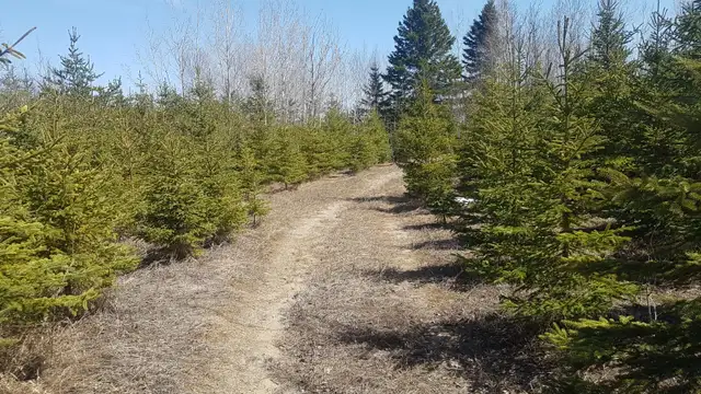 Terrains à louer ( À Roberval ) !