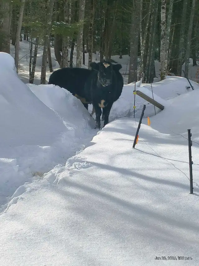 LOOKING FOR A APARTMENT !! PIC FOR ATTENTION