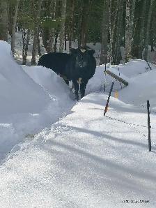 LOOKING FOR A APARTMENT !! PIC FOR ATTENTION